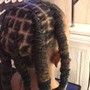 Loc Retwist