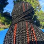 Medium Box Braids (Hair included)