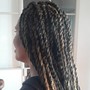 Medium size Senegalese Twist midback lenght