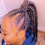 Braided ponytail  (sleek )