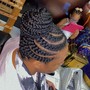 Braided Ponytail LARGE