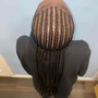 Feed-in Braids (20 braids)