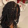 Small to tiny Crochet Braids