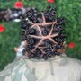 Bantu knots