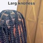 Kids braided ponytail