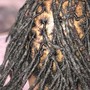 Natural two strand twist