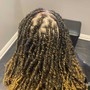 Medium Box Braids over locs