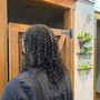 Moisturizing  Treatment for Locs