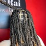 Large/Jumbo Box Braids