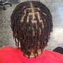 Starter Locs