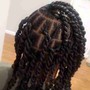 Starter locs