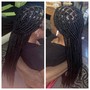 Large Rubber-band Box Braids