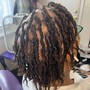 Starter Locs