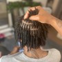 Starter Locs