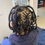 Individual Box Braids/ Plaits