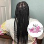 Medium Box Braids midback