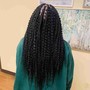 Individual Braids