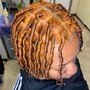 Starter Locs