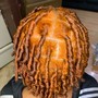 Starter Locs