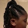 Knotless or Regular (Kid's Braids) ages (4-8)