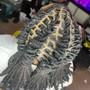 Retwist and style