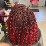 Crochet Prelooped hair