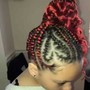 Individual Braids