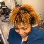 Root Touch Up