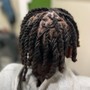 Starter Locs