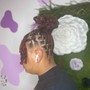 Ponytail With Weave