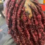 Medium Box Braids over locs