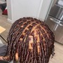 Starter Locs (coils)