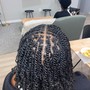 2 strand twists with braid at that root