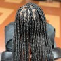 Small Size Starter Locs