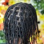 Women’s Box Braids (Large)