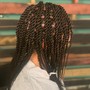 Medium Senegalese Twist