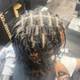 Starter Locs