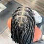 Starter Locs