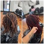 Root Touch Up