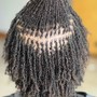 Micro Locs Retie.( 6-8wks)