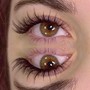 2 weeks Volume Lash Fill