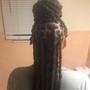 Loc Shampoo +InterLoc Maintenance