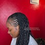 Spyro curl braids