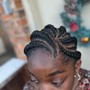 Passion Twist/ senegalese twist