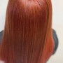 Olaplex Treatment