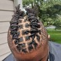 Kid's Traditional Starter Locs