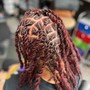 {MEDIUM}STARTER LOCS