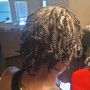 Starter locs two strain twist