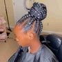 4 Feed-in Braids Curve