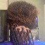 Kid's Braids natural hair